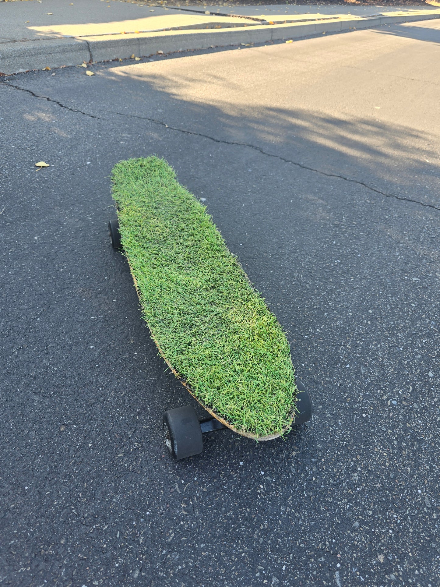 "The grass is always greener"    full set up longboard