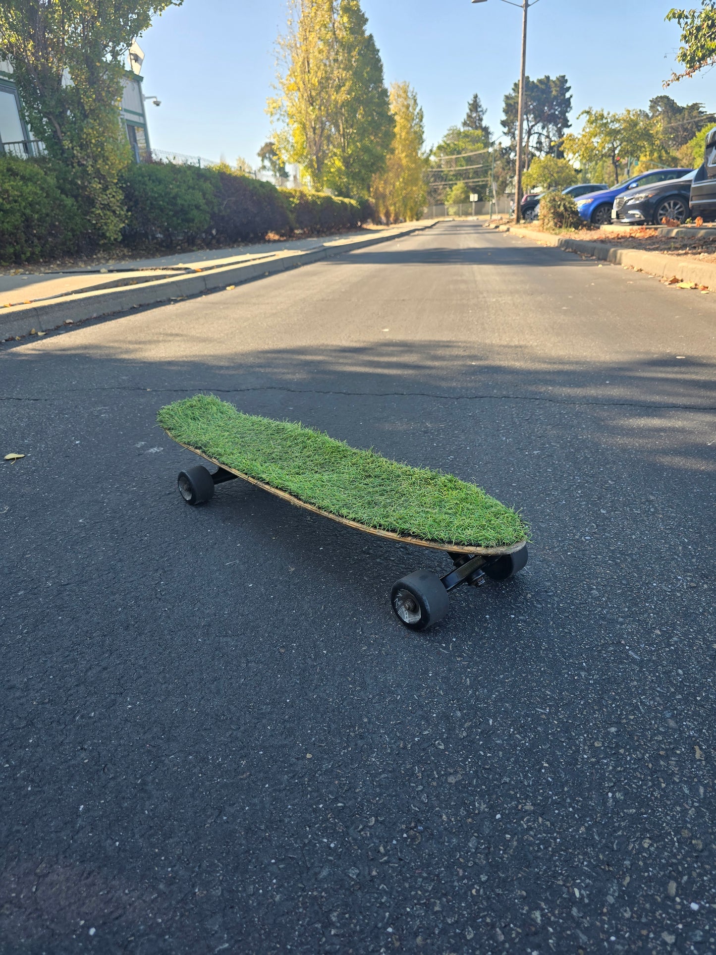 "The grass is always greener"    full set up longboard