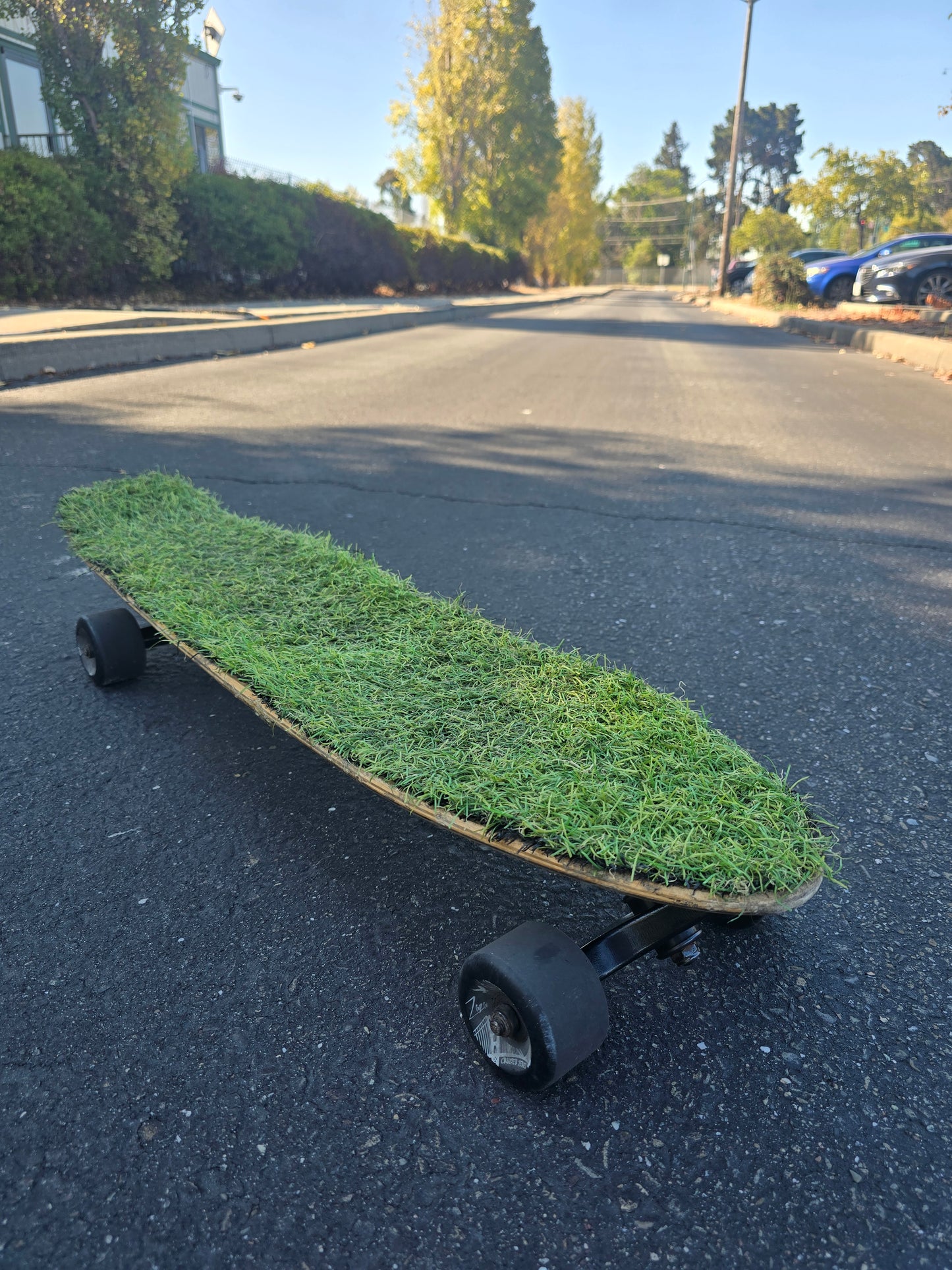 "The grass is always greener"    full set up longboard